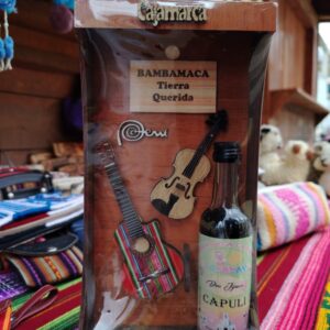 Cuadro Decorativo Violines